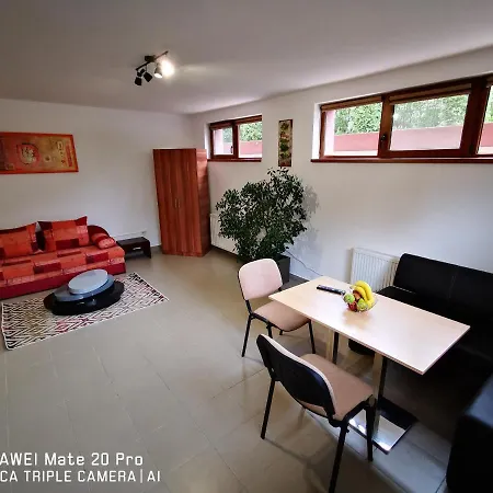 Marasti 1 Apartment *