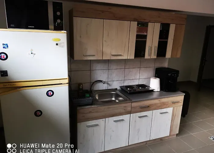 Marasti 1 Apartment *